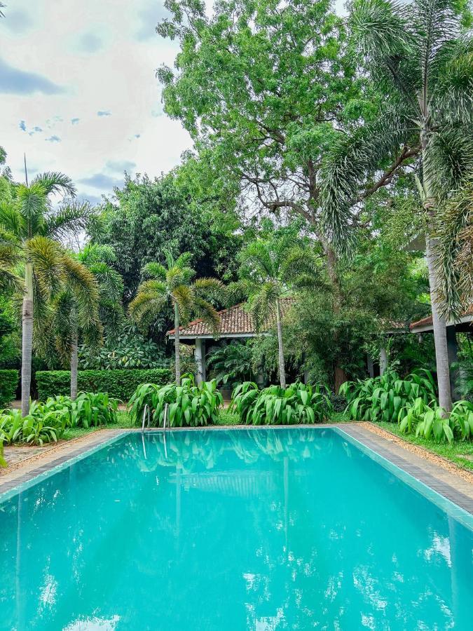 Wild Heaven Hotel Tissamaharama Ngoại thất bức ảnh