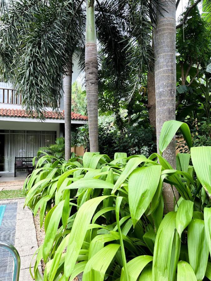 Wild Heaven Hotel Tissamaharama Ngoại thất bức ảnh