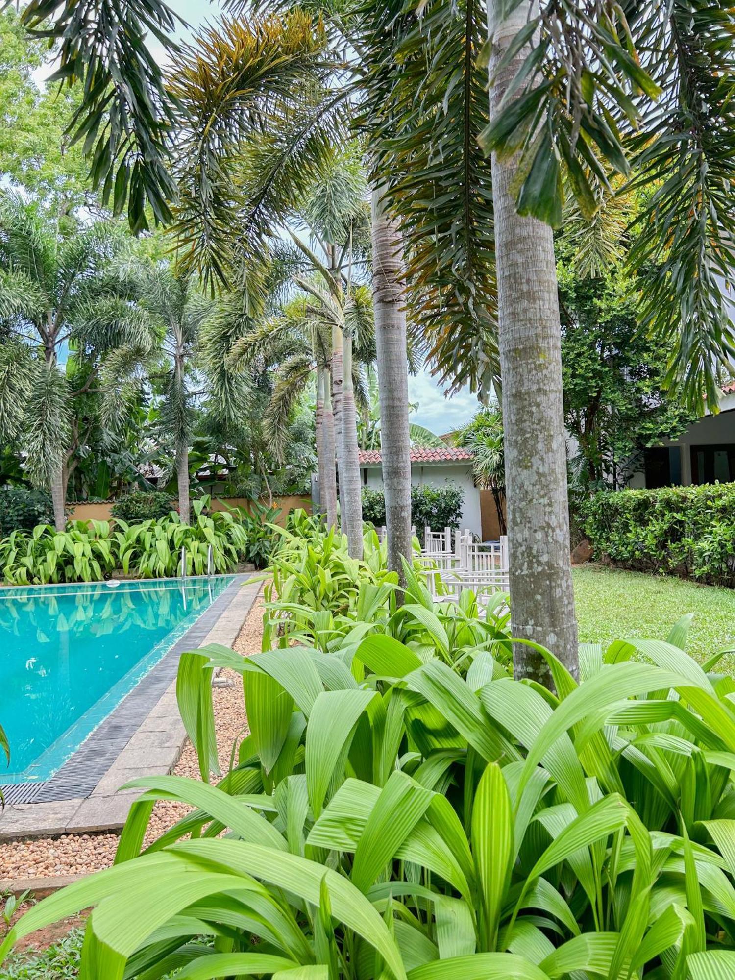 Wild Heaven Hotel Tissamaharama Ngoại thất bức ảnh