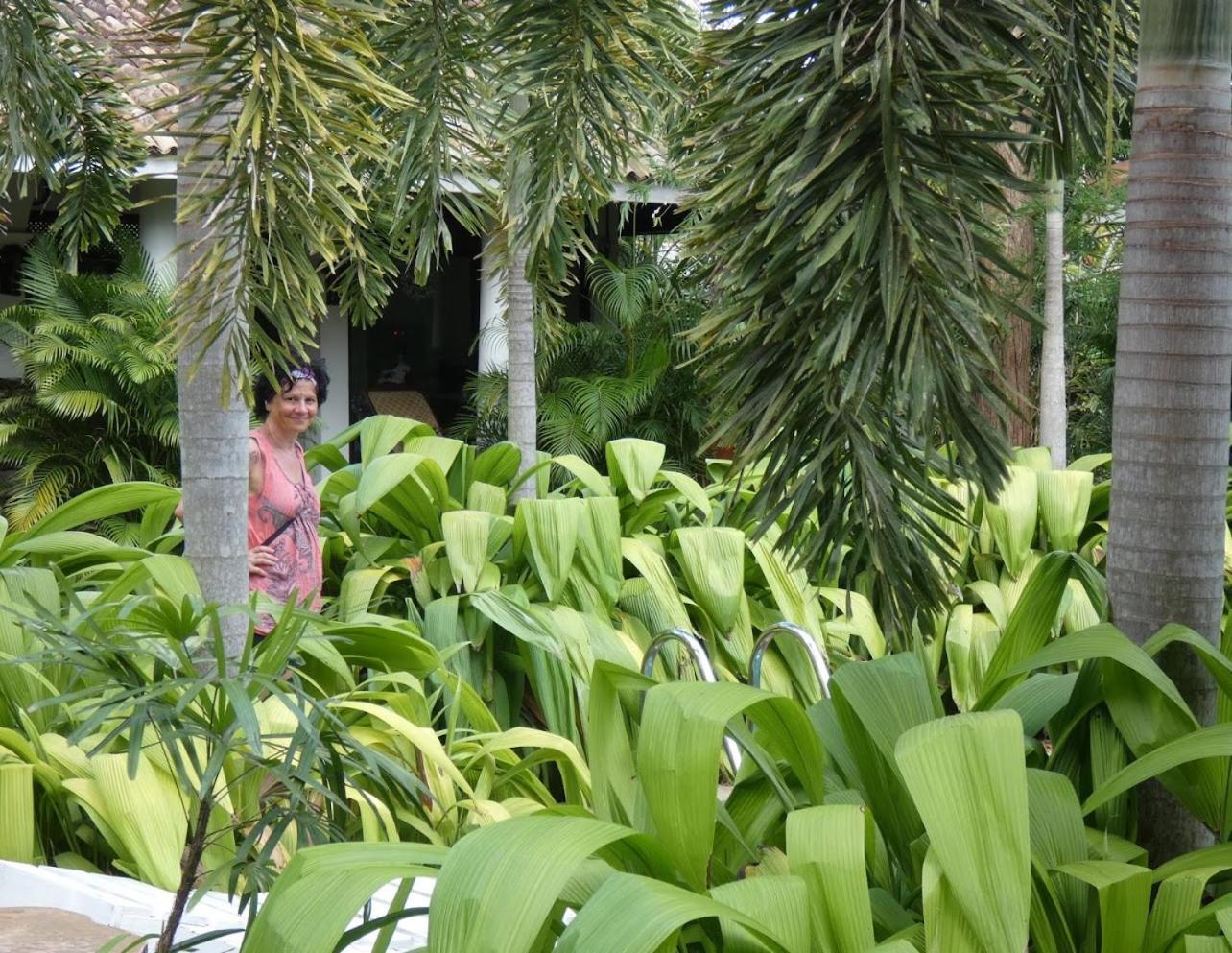 Wild Heaven Hotel Tissamaharama Ngoại thất bức ảnh
