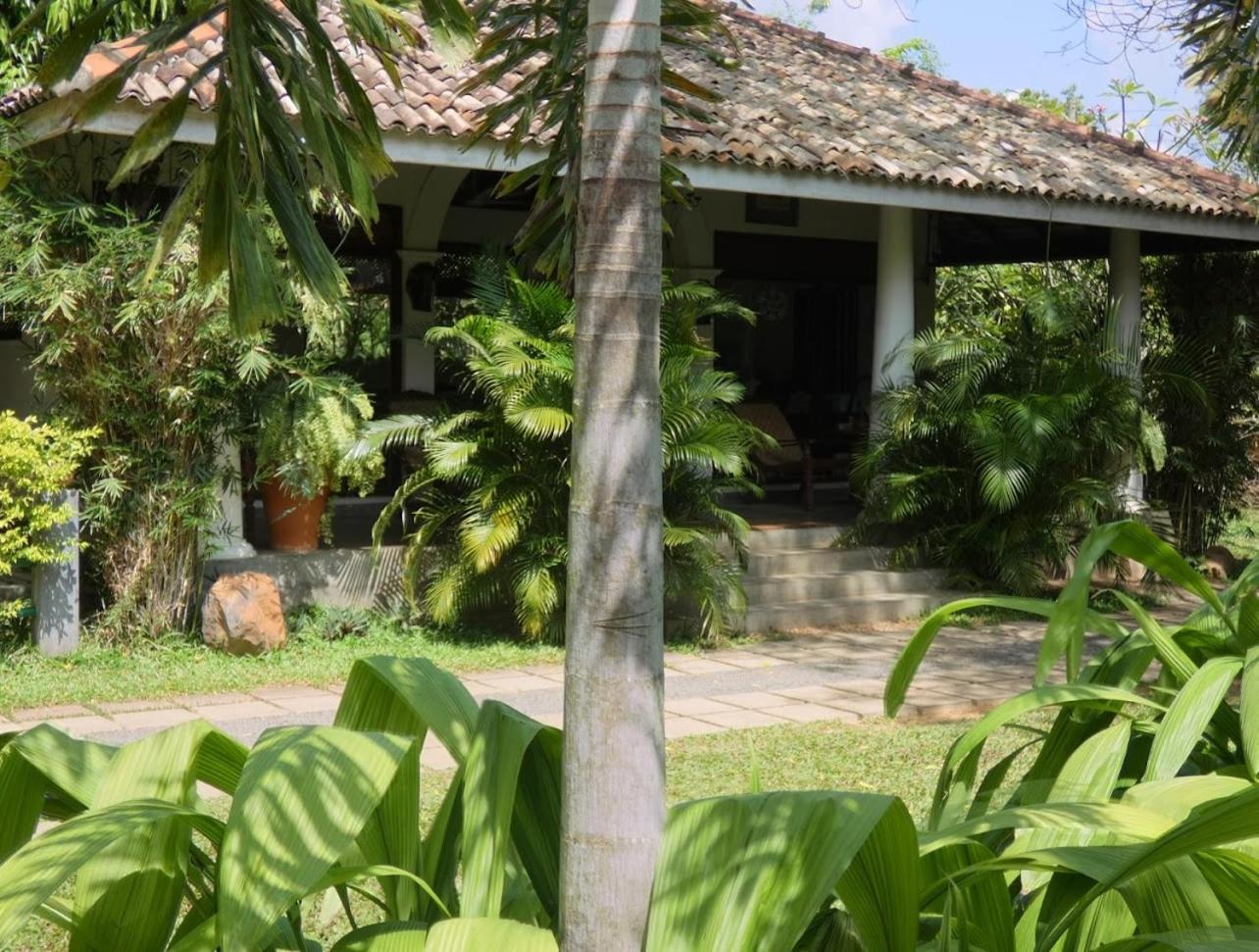 Wild Heaven Hotel Tissamaharama Ngoại thất bức ảnh