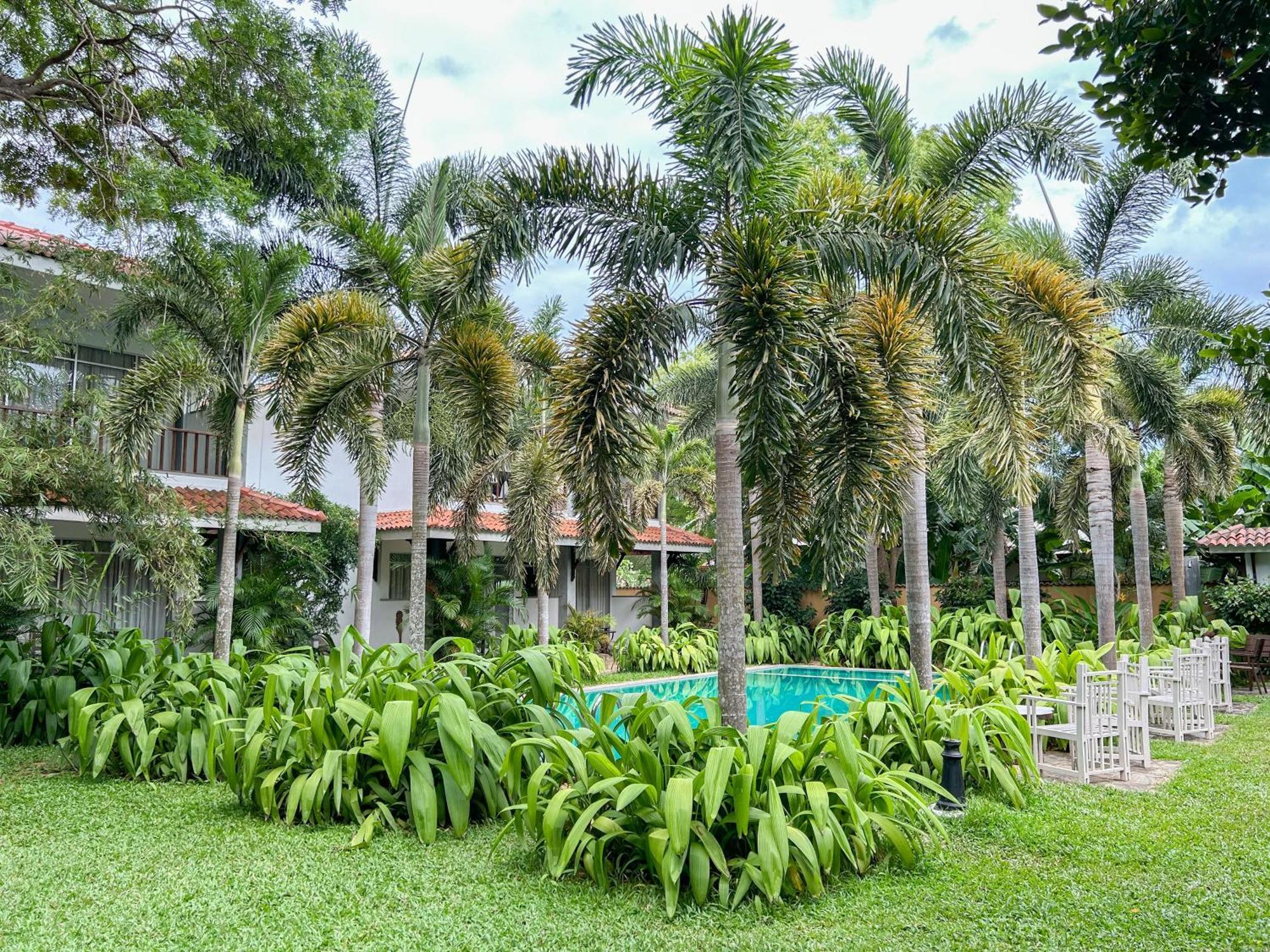 Wild Heaven Hotel Tissamaharama Ngoại thất bức ảnh