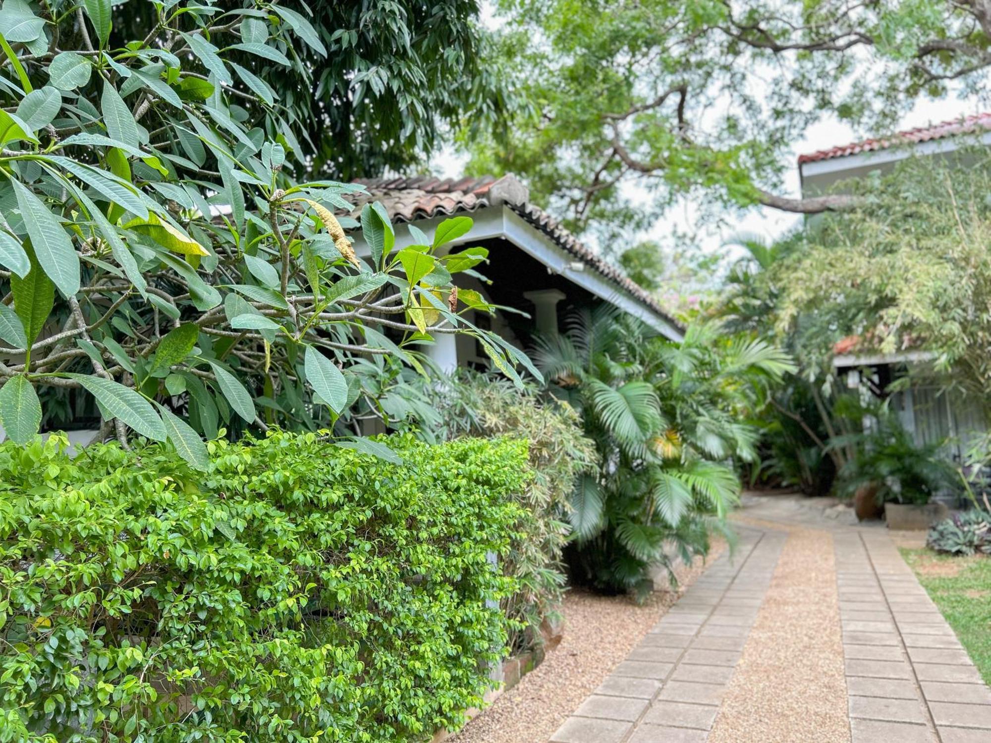 Wild Heaven Hotel Tissamaharama Ngoại thất bức ảnh