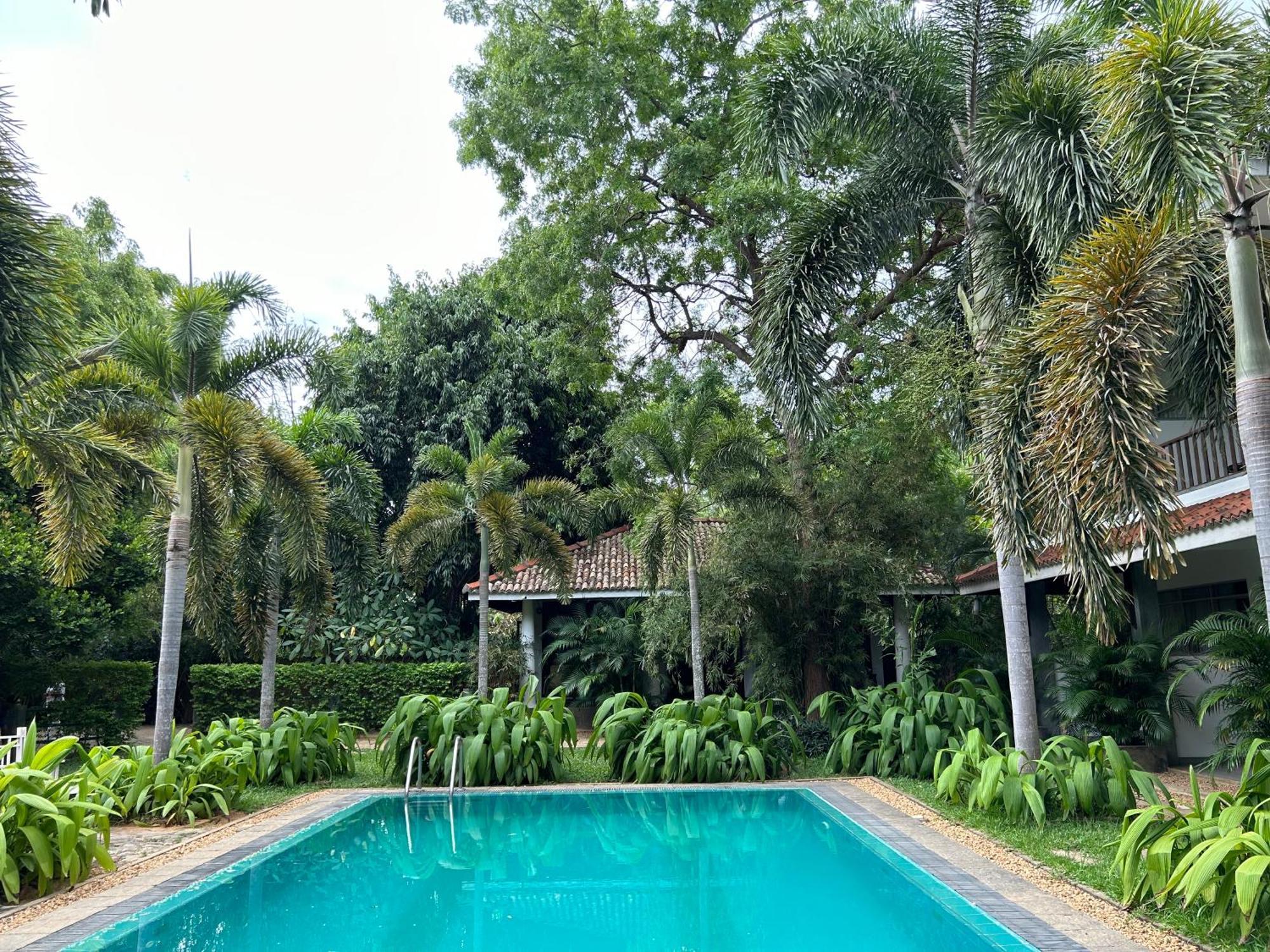 Wild Heaven Hotel Tissamaharama Ngoại thất bức ảnh